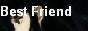 Best Friend